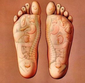 Reflexology foot map